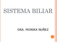 SISTEMA BILIAR