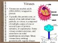 Viruses PowerPoint PPT Presentation