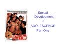 Sexual Development PowerPoint PPT Presentation