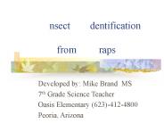 nsect    dentification         from     raps