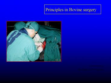 Principles in Bovine surgery
