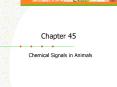 Chemical Signals in Animals PowerPoint PPT Presentation