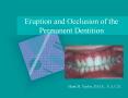 Eruption and Occlusion of the Permanent Dentition PowerPoint PPT Presentation