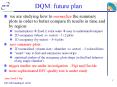 DQM: future plan PowerPoint PPT Presentation