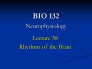 BIO 132