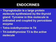 ENDOCRINES