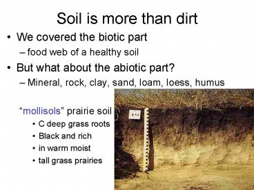 Soil is more than dirt