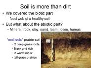 Soil is more than dirt