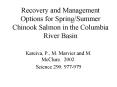 Recovery and Management Options for Spring/Summer Chinook Salmon in the Columbia River Basin PowerPoint PPT Presentation