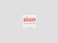 Slon - brand new media for business audience. PowerPoint PPT Presentation