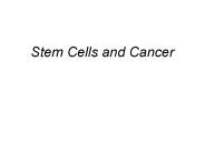 Stem Cells and Cancer