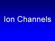 Ion%20Channels