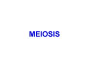 MEIOSIS