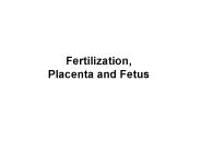 Fertilization, Placenta and Fetus