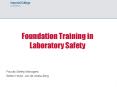 Foundation Training in Laboratory Safety PowerPoint PPT Presentation