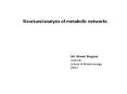 Structural analysis of metabolic networks PowerPoint PPT Presentation