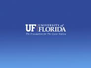 College of Fine Arts