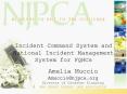 Incident Command System and National Incident Management System for FQHCs PowerPoint PPT Presentation