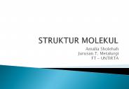 STRUKTUR MOLEKUL