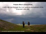 Pebble Mine