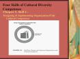 Four Skills of Cultural Diversity Competence PowerPoint PPT Presentation