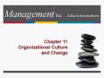 Management 11e John Schermerhorn PowerPoint PPT Presentation