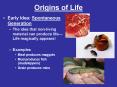 Origins of Life PowerPoint PPT Presentation