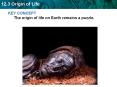 KEY CONCEPT The origin of life on Earth remains a puzzle. PowerPoint PPT Presentation