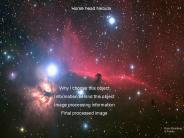 Horse head Nebula