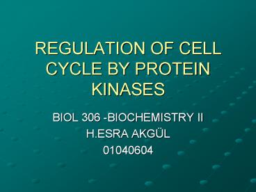 REGULATION OF CELL CYCLE BY PROTEIN KINASES