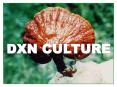 DXN CULTURE PowerPoint PPT Presentation