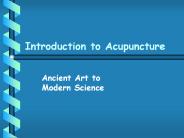 Introduction to Acupuncture