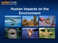 Human Impacts on the Environment PowerPoint PPT Presentation