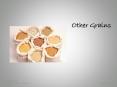 Other Grains PowerPoint PPT Presentation
