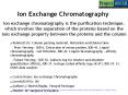 Ion Exchange Chromatography PowerPoint PPT Presentation