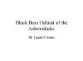 Black Bear Habitat of the Adirondacks PowerPoint PPT Presentation