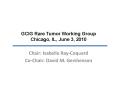 GCIG Rare Tumor Working Group Chicago, IL, June 3, 2010 PowerPoint PPT Presentation