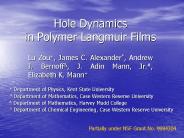 Hole Dynamics in Polymer Langmuir Films