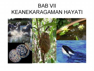 BAB VII KEANEKARAGAMAN HAYATI