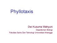 Phyllotaxis