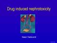 Drug induced nephrotoxicity PowerPoint PPT Presentation