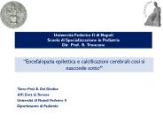 Tutor: Prof. E. Del Giudice