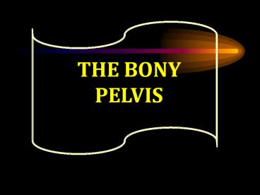 THE BONY PELVIS