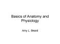 Basics of Anatomy and Physiology PowerPoint PPT Presentation