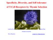 Specificity, Diversity, and Self-tolerance