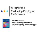 CHAPTER 5 Evaluating Employee Performance