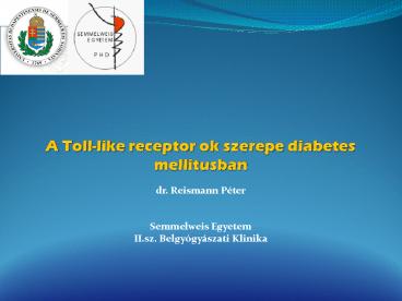 A Toll-like receptor ok szerepe diabetes mellitusban