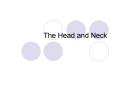 The Head and Neck PowerPoint PPT Presentation