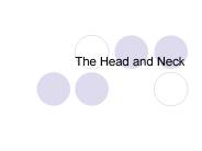 The Head and Neck