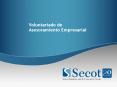 Voluntariado de Asesoramiento Empresarial PowerPoint PPT Presentation